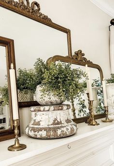 a mantle with candles, mirror and potted plants on it in front of a fireplace