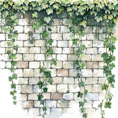 ivy growing up the side of a brick wall with white bricks and green leaves on it