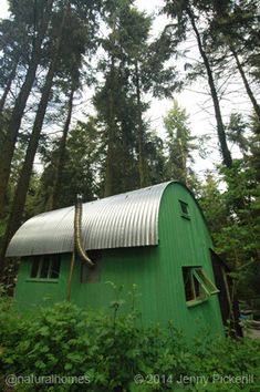 a green building in the middle of some trees and bushes with a hose sticking out of it's roof