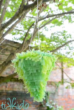 a green piece of paper hanging from a tree