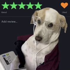 a white dog wearing glasses with five stars on it's back and four green stars above the head