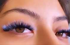 Coloured Eyelashes, Lash Shapes, Extension Inspiration, Lash Map