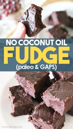 chocolate fudge with text overlay that says no coconut oil fudge pale and gaps