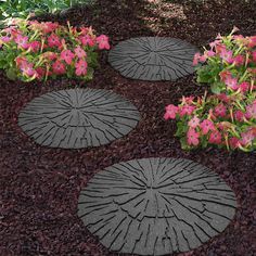 four circular stepping stones with flowers in the background