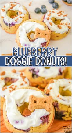 blueberry doggie donuts with cream cheese frosting and dog bone shaped biscuits