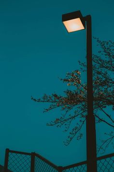 a street light sitting on the side of a road next to a tree and fence