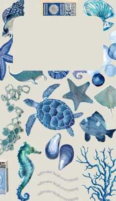 an ocean scene with sea animals and seashells