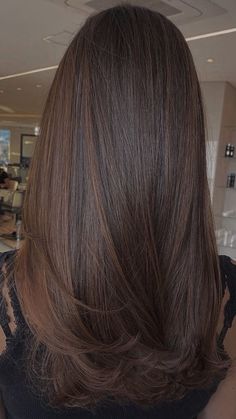 Brown Straight Hair, Black Hair Balayage, Brown Hair Looks, Brown Hair Inspo, Hair Inspiration Long, Brunette Hair With Highlights, Hairstyles For Layered Hair, Brown Hair Balayage, Haircuts Straight Hair