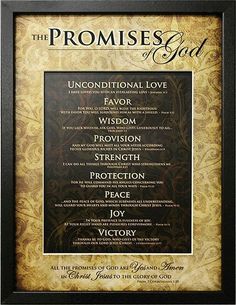 the book cover for the propress's god, with an ornate frame and gold background