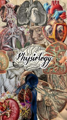 a collage of medical images with the words physilogy written in large letters