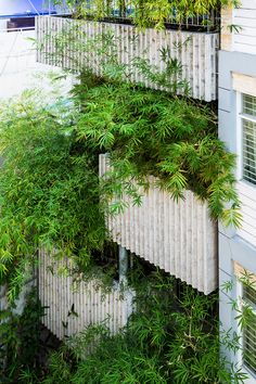 an apartment building with plants growing on the side