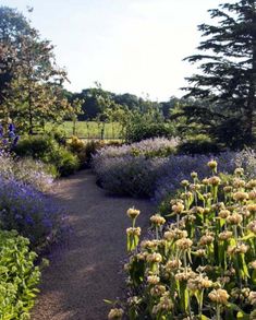 a garden with lots of flowers and trees in the background, including bluebells