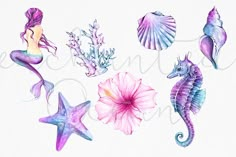 watercolor painting of seahorses, starfish and shells