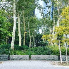 there is a bench in the middle of this park with trees and bushes around it