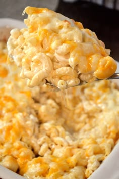 a spoon full of macaroni and cheese being lifted from a casserole dish