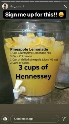 a blender filled with pineapple lemonade and 3 cups of hennessey