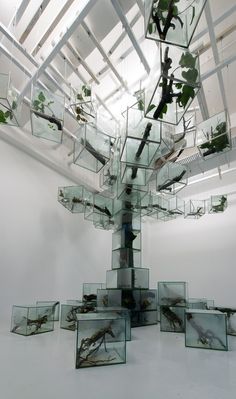 an art installation with glass cubes and plants in the center, surrounded by mirrors