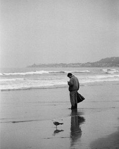 a man standing on top of a beach next to the ocean with a bird nearby