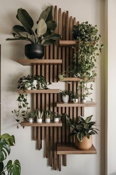 a wooden shelf with plants on it in front of a wall mounted planter and potted plants