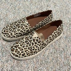 Brand New Never Worn. Size 9 Slip On Toms Canvas Shoes. Toms Sneakers, Leopard Print Sneakers, Silver Sneakers, Pink Sneakers, Print Sneakers, Womens Athletic Shoes, Denim Shoes, Sneakers Grey, Womens Toms