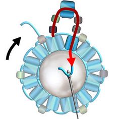 an image of the structure of a cell