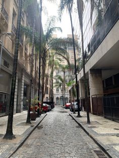 an empty street lined with palm trees and buildings