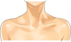 an image of a man's chest showing the different areas of his shirtless body