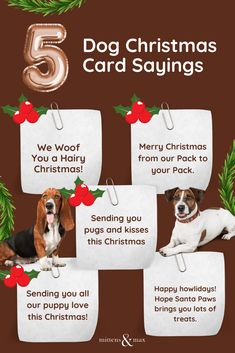 a christmas card with four dogs on it and the words 5 dog christmas cards sayings