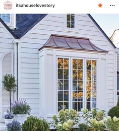 a white house with windows and plants in the front yard