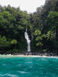 a waterfall in the middle of some water surrounded by palm trees and other greenery