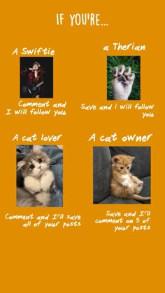 an orange poster with pictures of cats and words that say, if you're