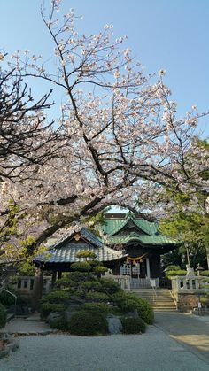 the building is surrounded by trees and flowers