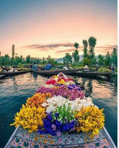 a boat filled with lots of different colored flowers