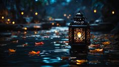 a lantern sitting on top of a body of water next to trees and leaves in the rain