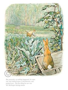 an illustration of rabbits in the garden