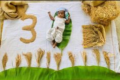 a baby laying on top of a banana leaf next to some wheat stalks and numbers