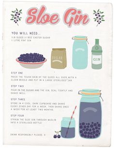 a poster with instructions on how to make a blueberry sloe gin