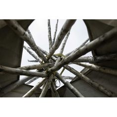 looking up at the top of a structure made out of sticks and branches with sky in background