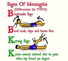 Kernig Sign, Pediatric Neurology, Neuro Nursing, Paramedic School, Nursing Information, Brain Surgeon, Nclex Study