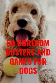 a dog with its paw on a tennis ball and the words 50 boredom busters and games for dogs