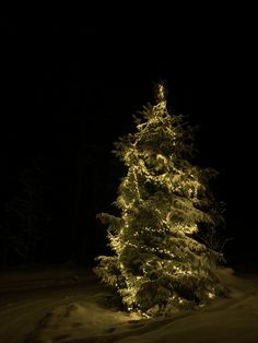 a lit christmas tree stands in the snow at night with its lights on it's branches