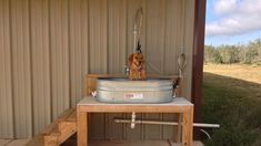 a dog is sitting in an old metal tub on a wooden table outside the building