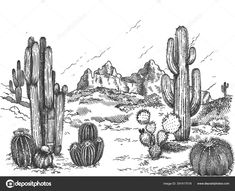 an ink drawing of cactuses in the desert