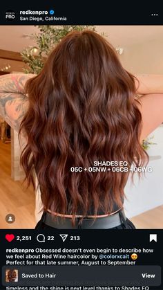 Hair Toner Color Chart, Red Copper Shades Eq Formula, Copper Formulas Shades Eq, Dark Copper Shades Eq Formula, Redken Cool Brown Formula, Dark Copper Formula, Red Toner Formula, Cherry Cola Shades Eq Formula, Red Brown Redken Formulas