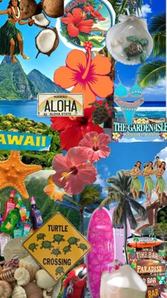 the collage is made up of many different pictures and words, including tropical scenes