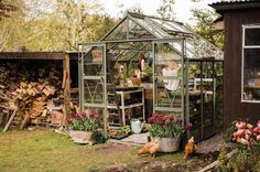 a small green house sitting in the middle of a yard filled with flowers and potted plants