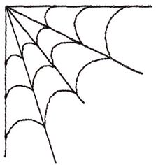 a spider web is shown in black and white, with the lines drawn across it