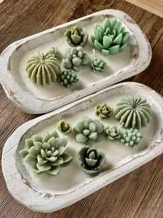 two white trays filled with succulents on top of a wooden table