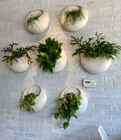 several white vases with plants hanging on the wall