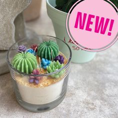 there is a small cupcake with icing on it next to a potted plant